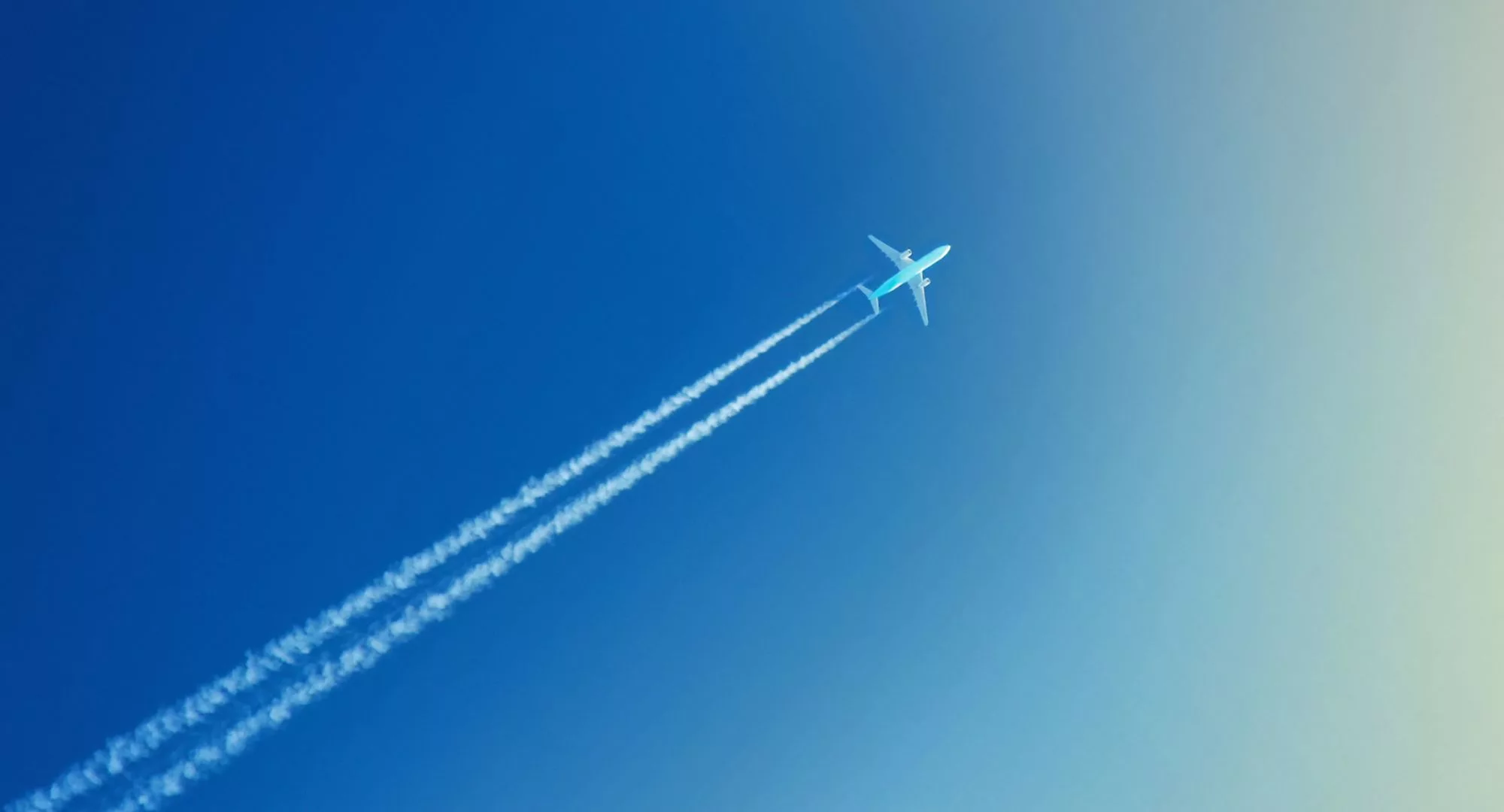 18 month $0 to $1.4million: The rough and ready roadmap